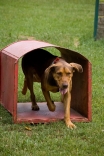 20080628085334s.jpg